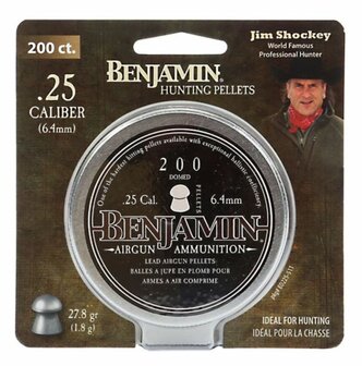 Benjamin Domed 6.35 mm