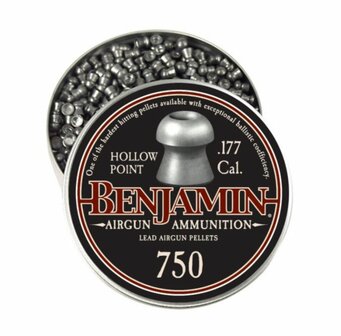 Benjam Hollow Point 4.5 mm