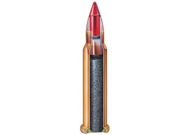 Hornady .22 WMR v-max