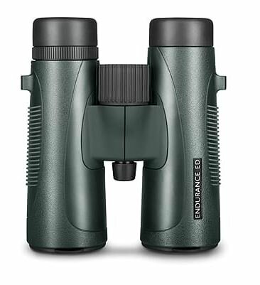 Hawke Endurance ED 8 x 42 Green