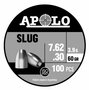 Apolo AA Slug 7,62 mm 100 st 60.00/3,90