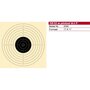 Schmid Paper Target 10/12m Pistol, NOT Numbered, 17x17, 1 Target